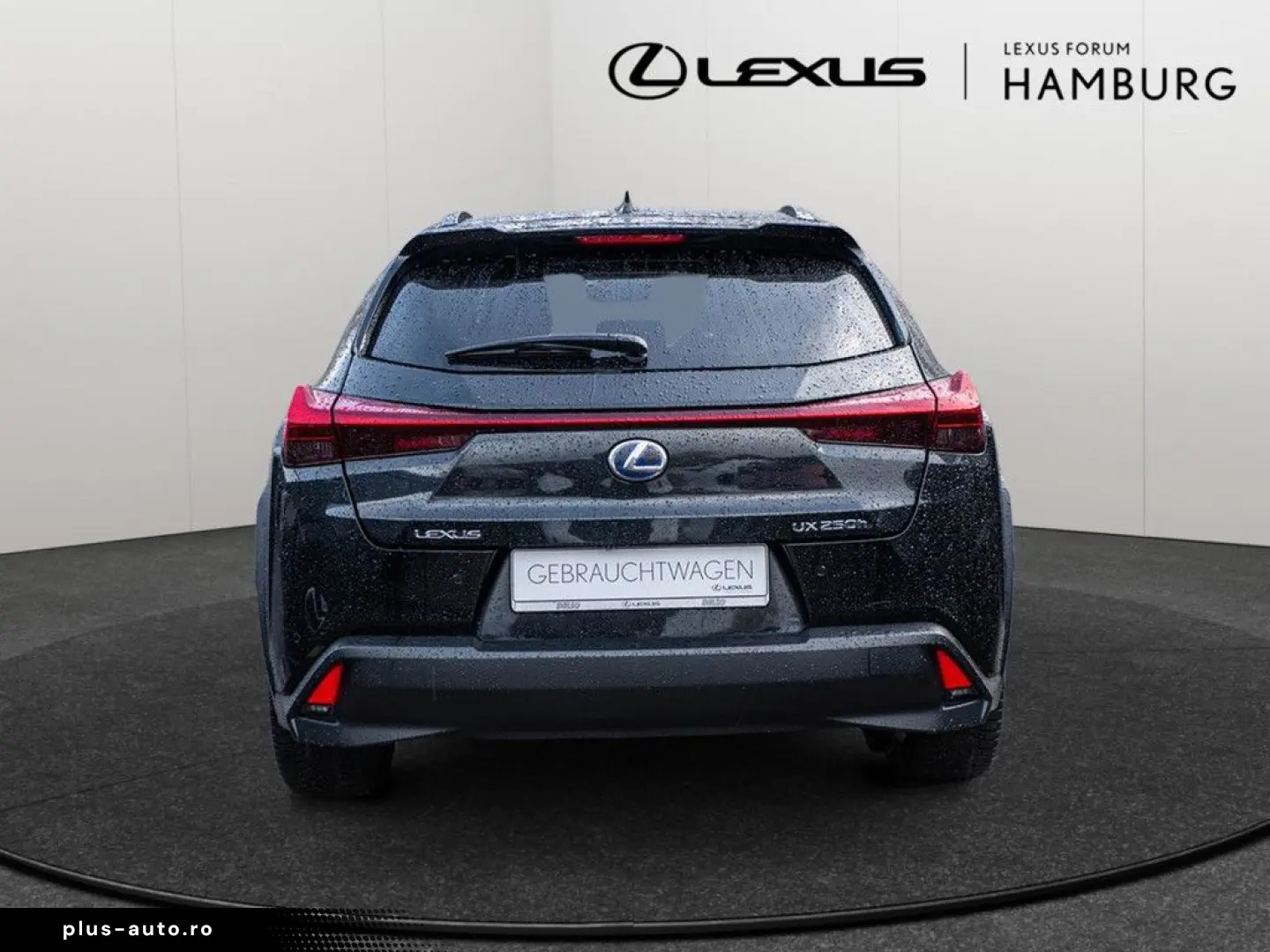 UX 250 h Style  KLIMA SHZ ACC LED SCHEINWERFER