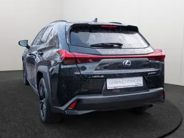 UX 250 h Style  KLIMA SHZ ACC LED SCHEINWERFER