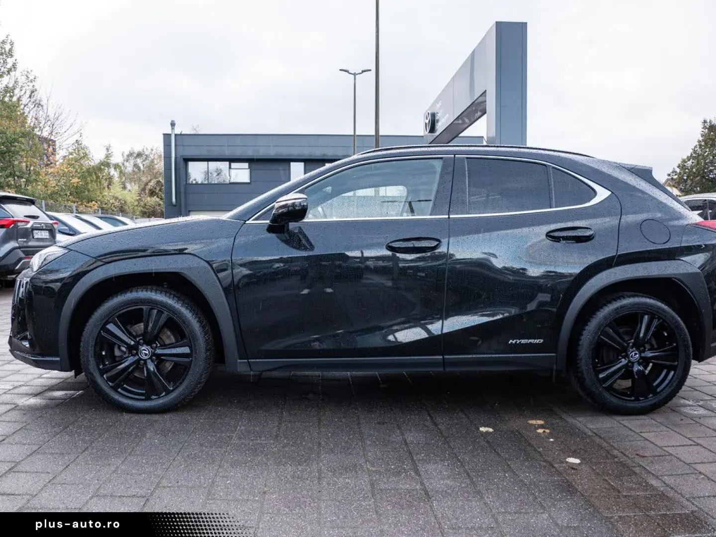 UX 250 h Style  KLIMA SHZ ACC LED SCHEINWERFER