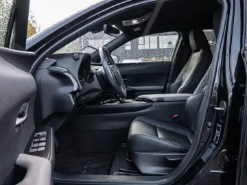 UX 250 h Style  KLIMA SHZ ACC LED SCHEINWERFER