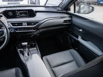 UX 250 h Style  KLIMA SHZ ACC LED SCHEINWERFER