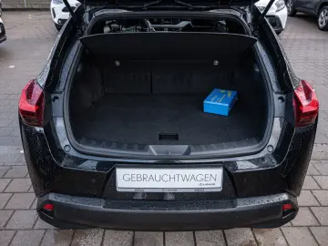 UX 250 h Style  KLIMA SHZ ACC LED SCHEINWERFER