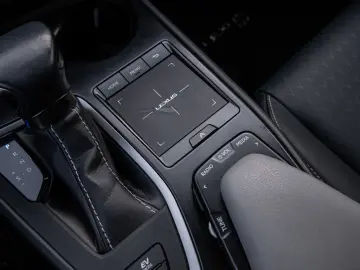 UX 250 h Style  KLIMA SHZ ACC LED SCHEINWERFER