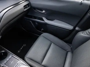 UX 250 h Style  KLIMA SHZ ACC LED SCHEINWERFER