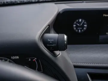 UX 250 h Style  KLIMA SHZ ACC LED SCHEINWERFER