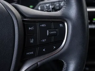 UX 250 h Style  KLIMA SHZ ACC LED SCHEINWERFER