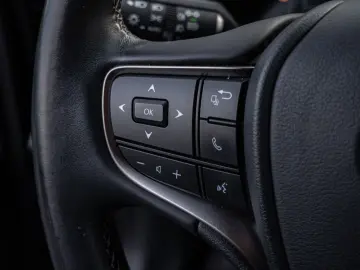 UX 250 h Style  KLIMA SHZ ACC LED SCHEINWERFER