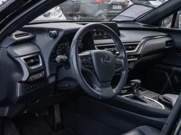 UX 250 h Style  KLIMA SHZ ACC LED SCHEINWERFER