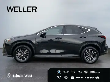 NX 350h E-FOUR Executive Line  360  HUD el Sitze