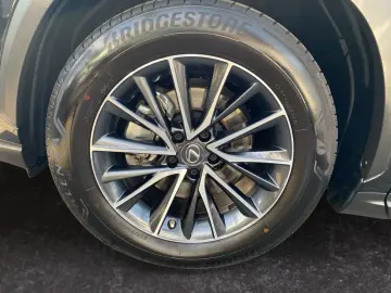 NX 350h E-FOUR Executive Line  360  HUD el Sitze