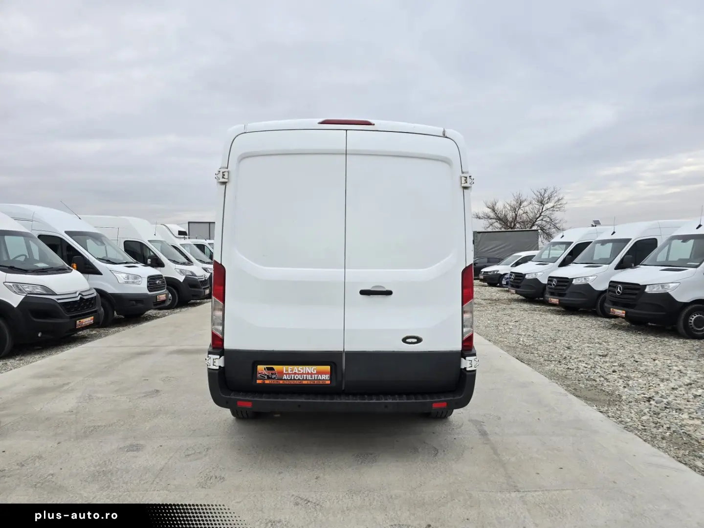 FORD TRANSIT L3H2 FRIGORIFICA