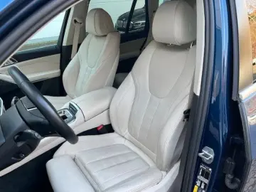 X5 xDrive45e DrivingAss.Professional Edelholz