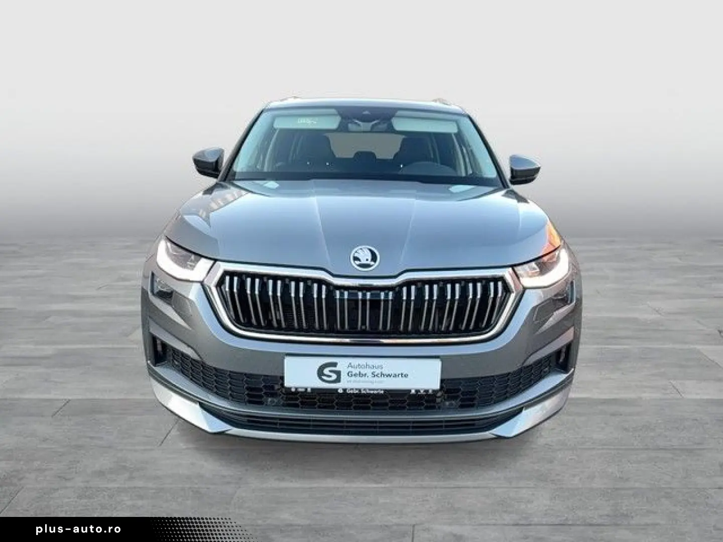 Kodiaq 2.0 TDI DSG 4x4 L&K ACC AHK STANDHEIZUNG