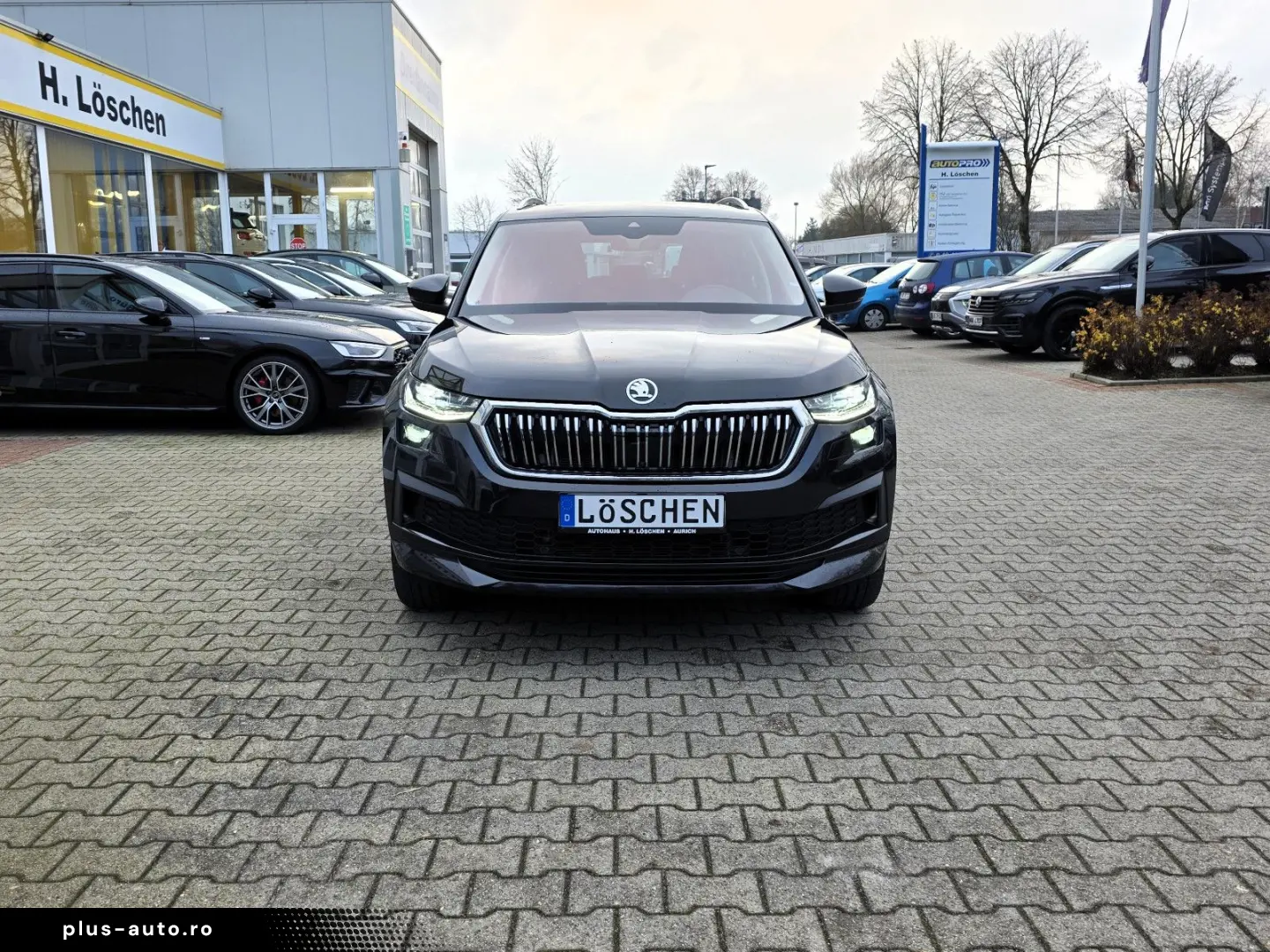 Kodiaq L&K 4x4 Panorama Standheizung AHK