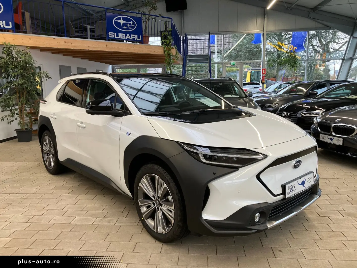 Solterra  Platinum Plus