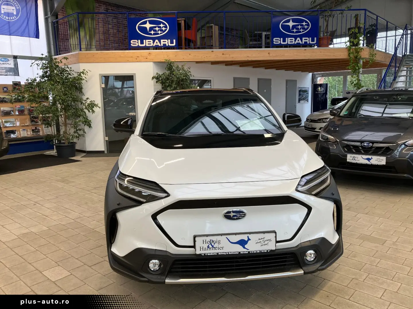 Solterra  Platinum Plus