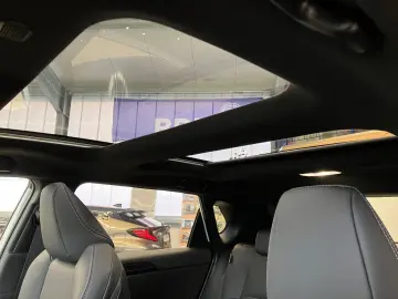 Solterra  Platinum Plus