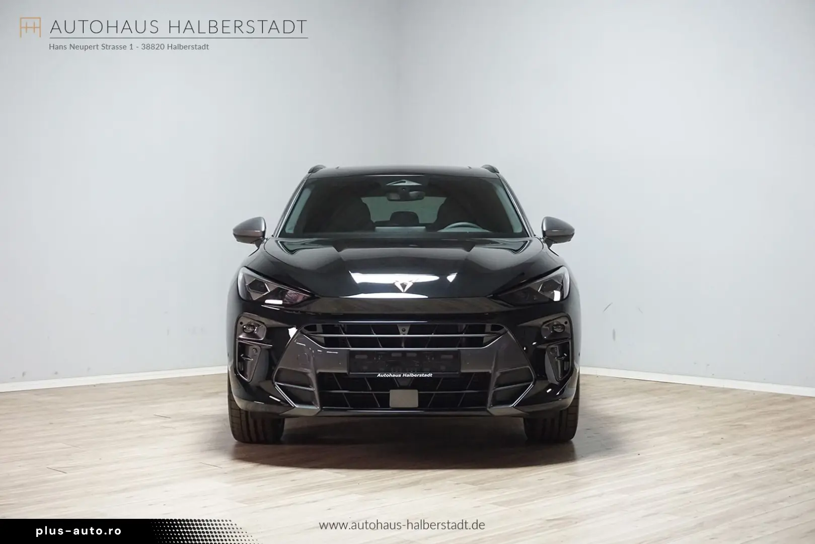 Terramar 4Drive Pano TopView Headup Matrix AHK