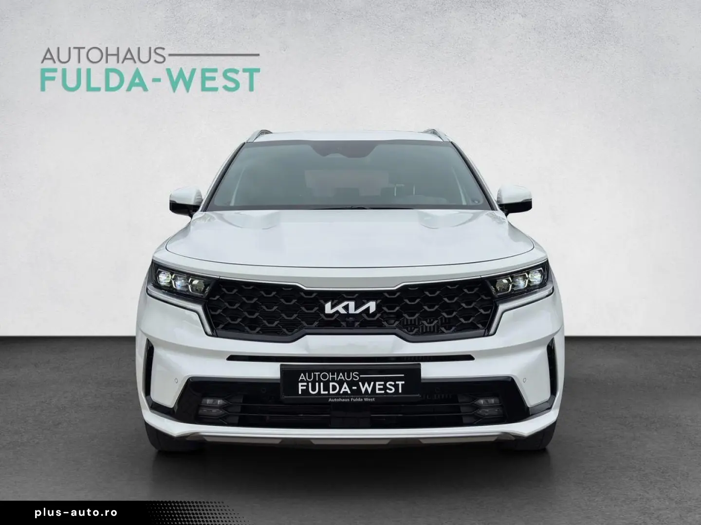 Sorento 1.6T-GDI Hybrid Platinum 4WD Leder 360