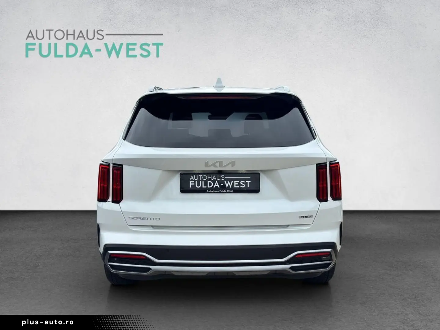 Sorento 1.6T-GDI Hybrid Platinum 4WD Leder 360