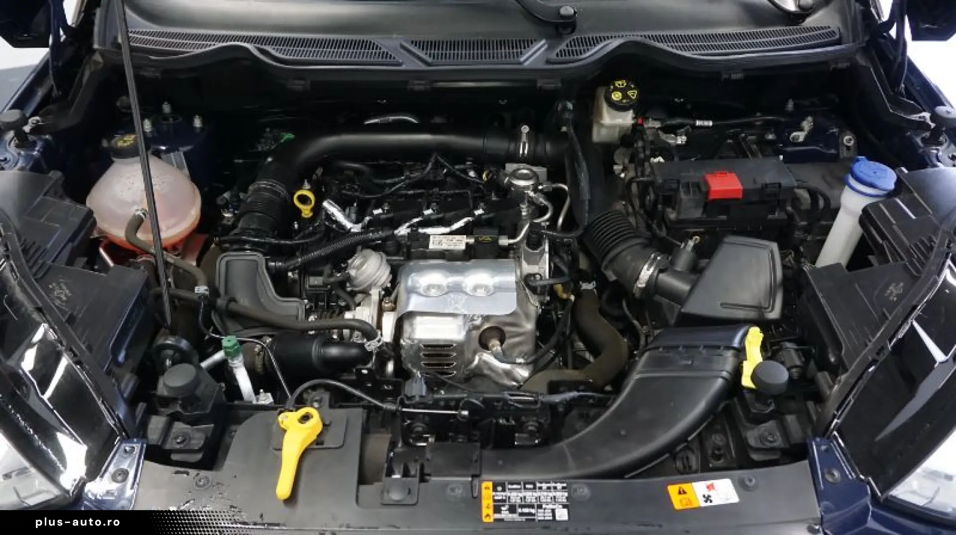 FORD ECOSPORT 1.0L Fox 125 CP Active