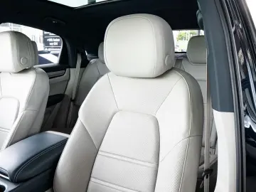 Cayenne PLATINUM   KAM TOT BOSE