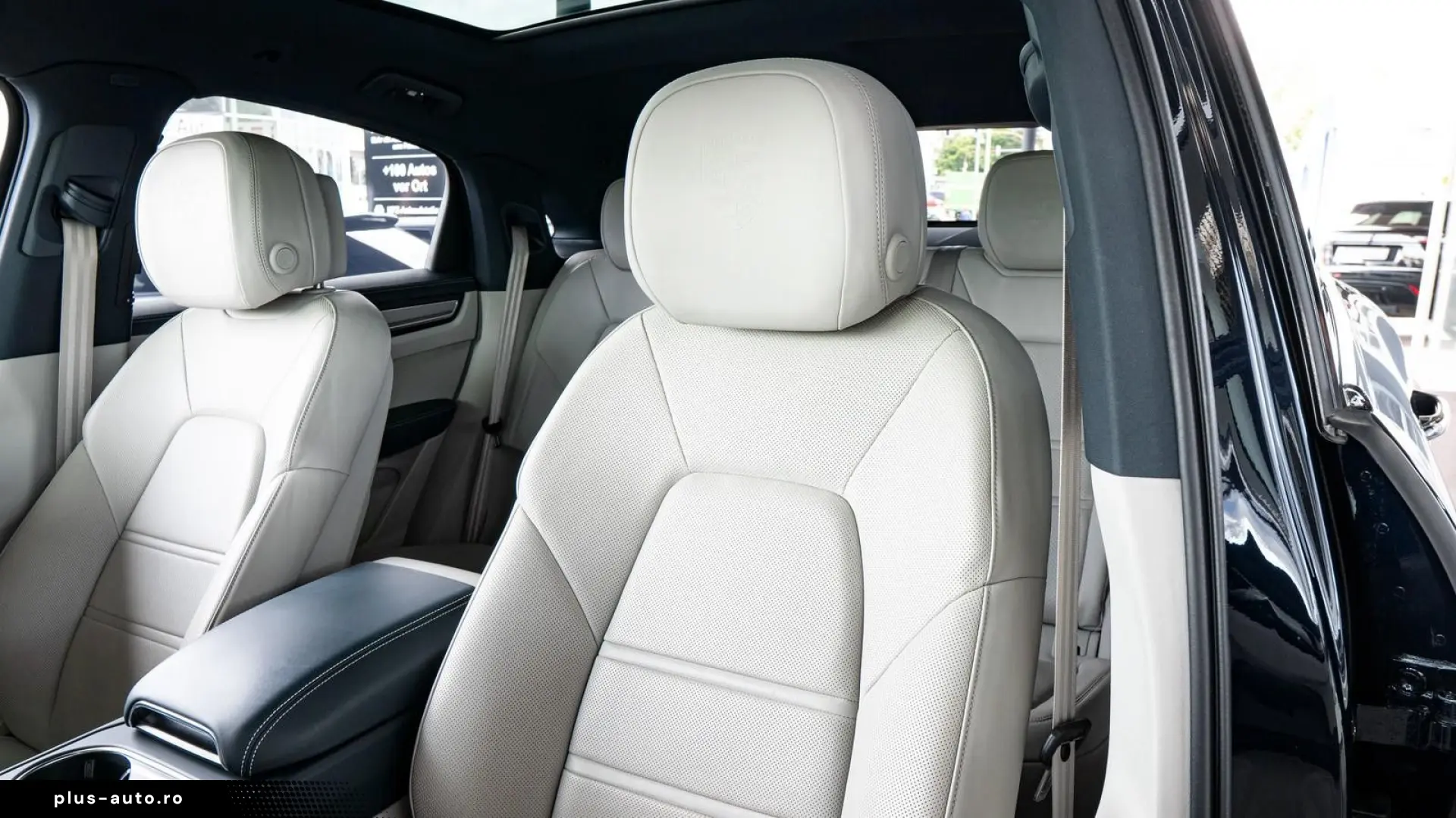 Cayenne PLATINUM   KAM TOT BOSE