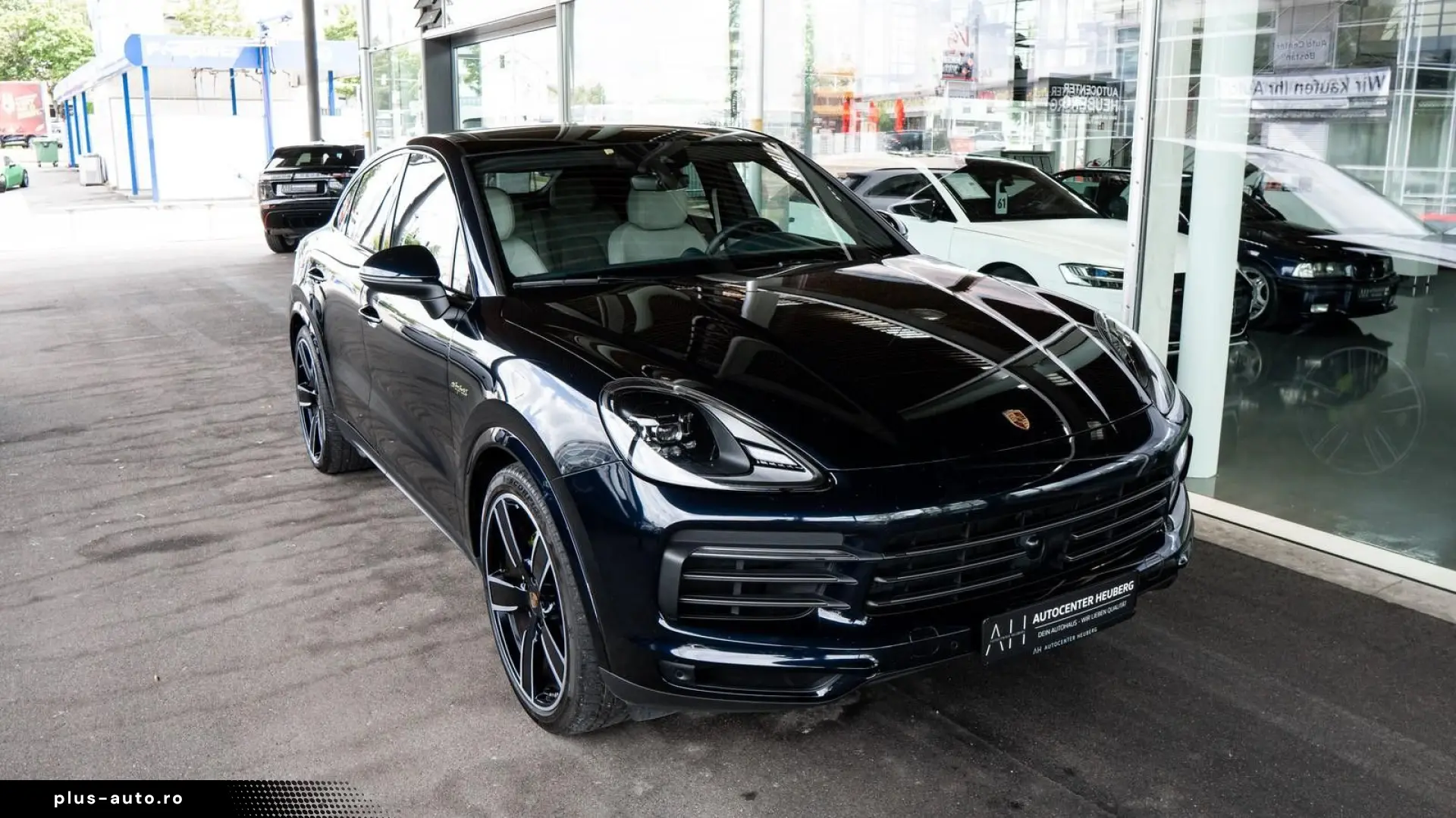 Cayenne PLATINUM   KAM TOT BOSE