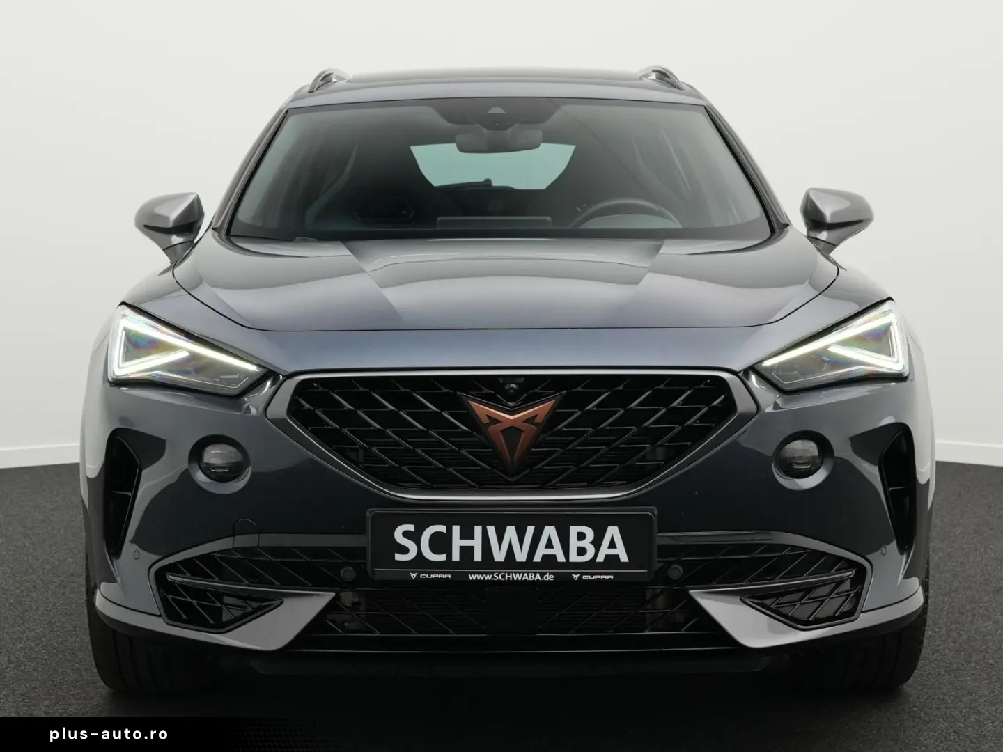 Formentor VZ 2.0 TSI 4Drive DSG  ACC AHK PANO 19