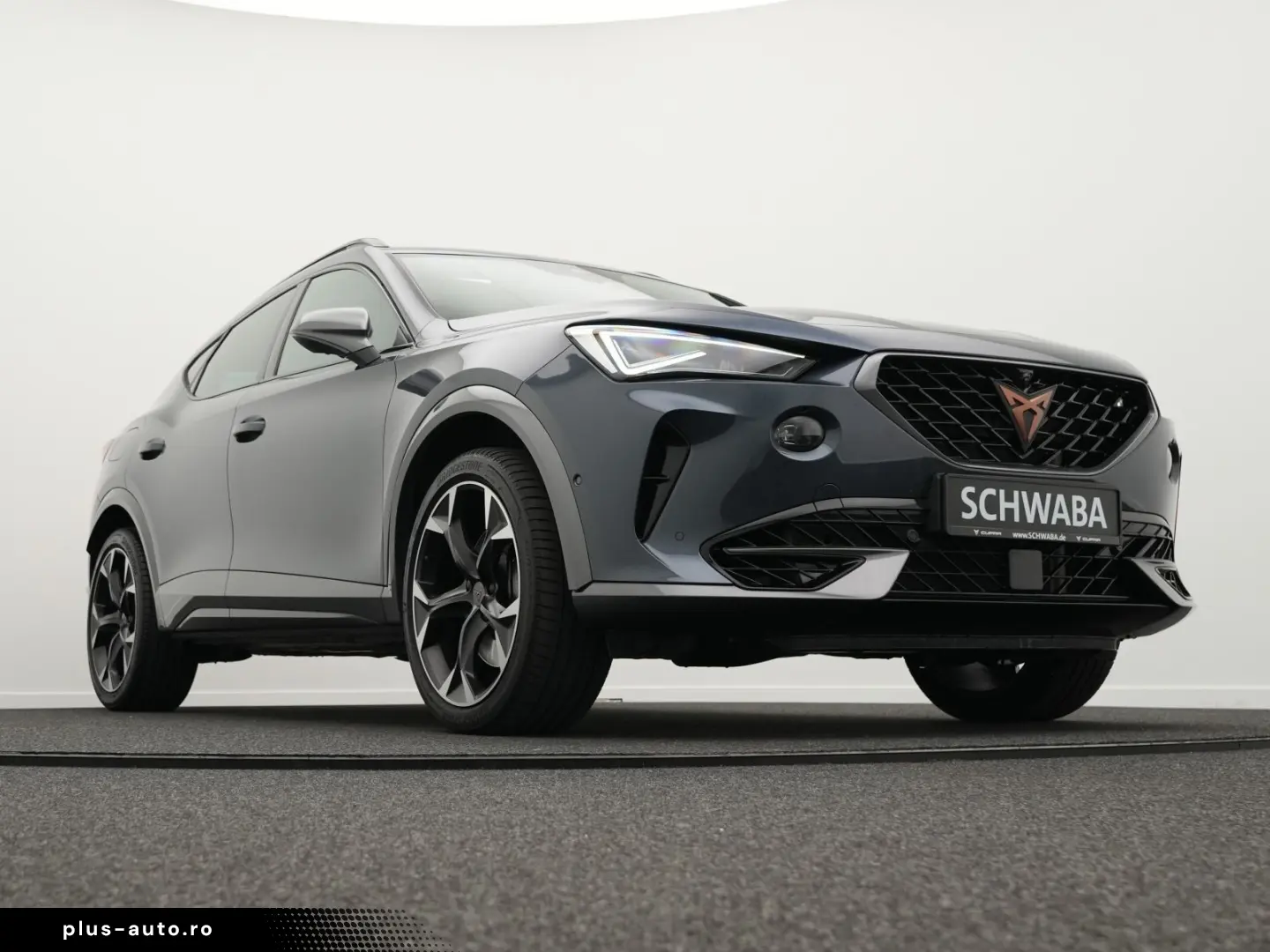 Formentor VZ 2.0 TSI 4Drive DSG  ACC AHK PANO 19