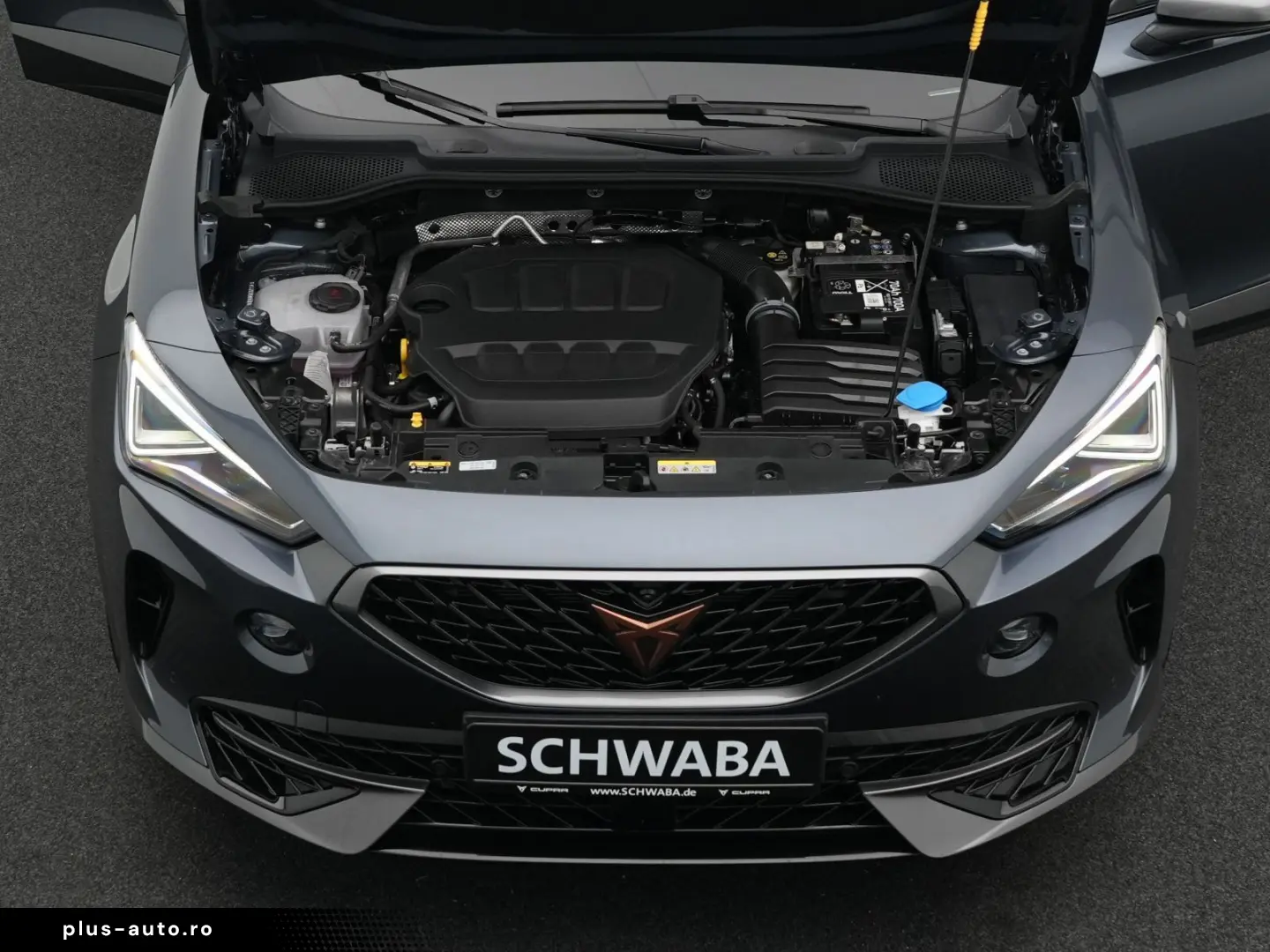 Formentor VZ 2.0 TSI 4Drive DSG  ACC AHK PANO 19