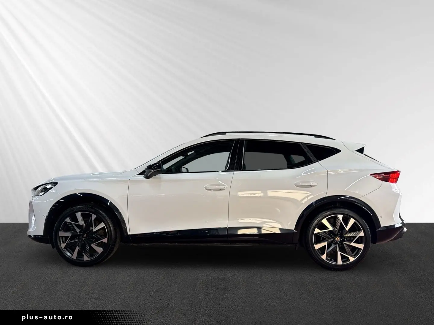 Formentor 2.0 TSI VZ 4Drive DSG 360  ACC Pano