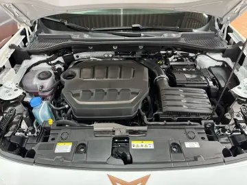 Formentor 2.0 TSI VZ 4Drive DSG 360  ACC Pano