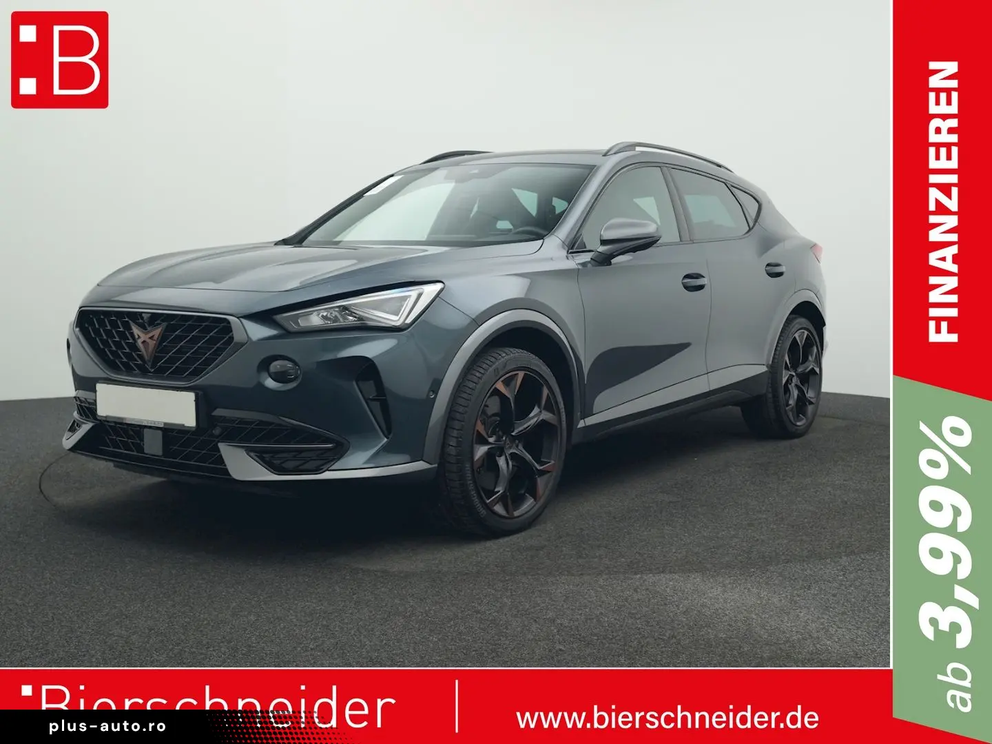 Formentor 2.0 TSI DSG 4Dr. VZ PANO AHK 360 eHECK