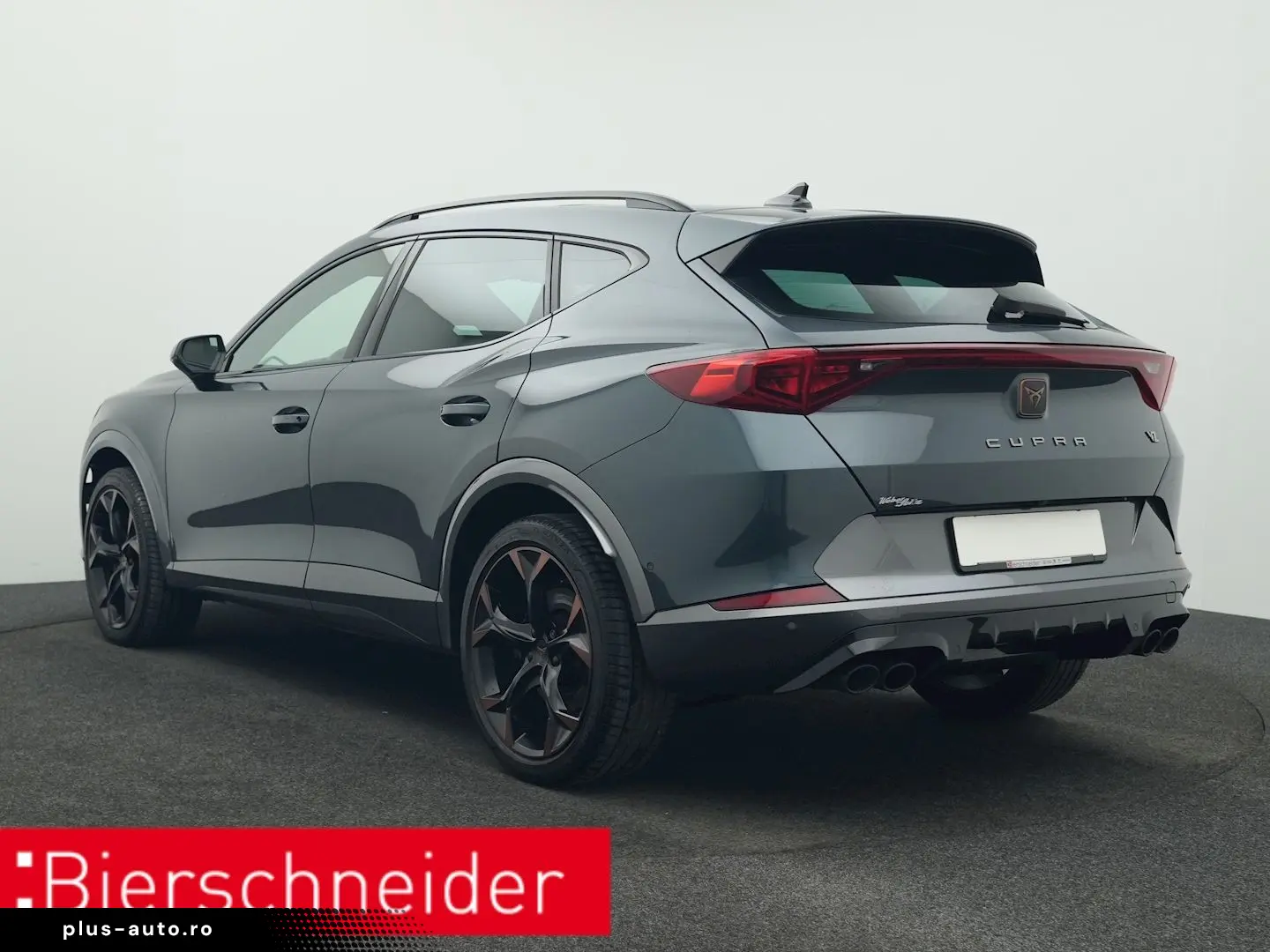 Formentor 2.0 TSI DSG 4Dr. VZ PANO AHK 360 eHECK