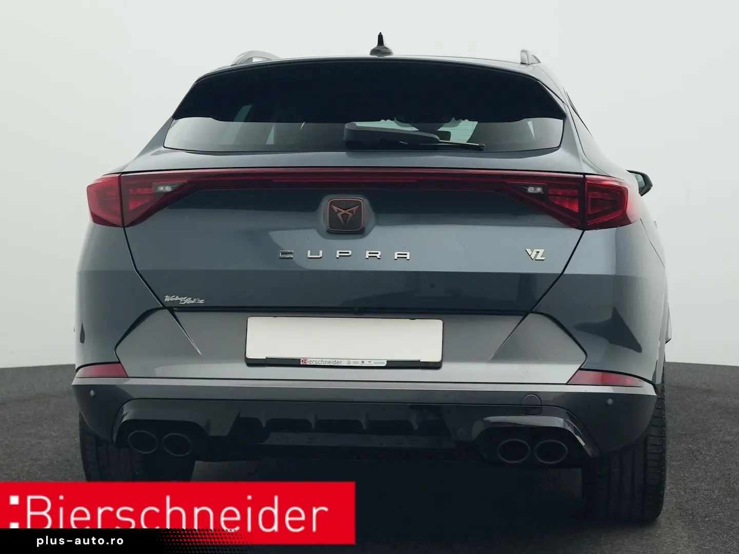 Formentor 2.0 TSI DSG 4Dr. VZ PANO AHK 360 eHECK