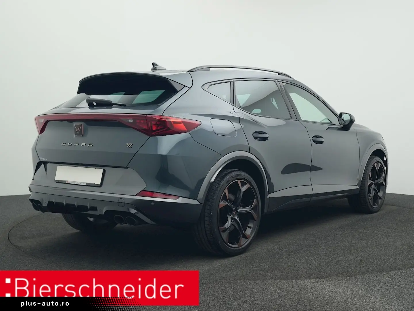 Formentor 2.0 TSI DSG 4Dr. VZ PANO AHK 360 eHECK