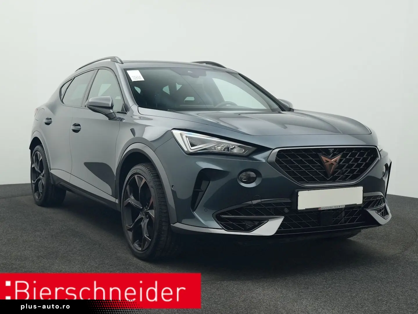 Formentor 2.0 TSI DSG 4Dr. VZ PANO AHK 360 eHECK