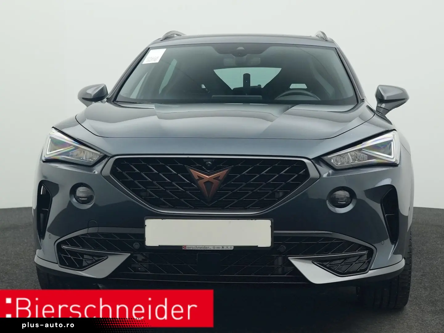 Formentor 2.0 TSI DSG 4Dr. VZ PANO AHK 360 eHECK