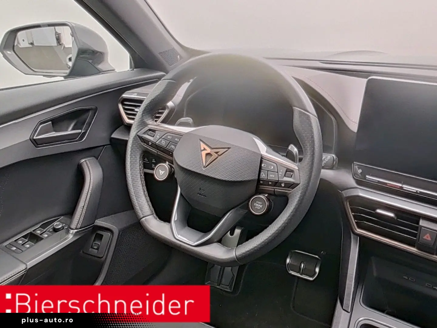 Formentor 2.0 TSI DSG 4Dr. VZ PANO AHK 360 eHECK