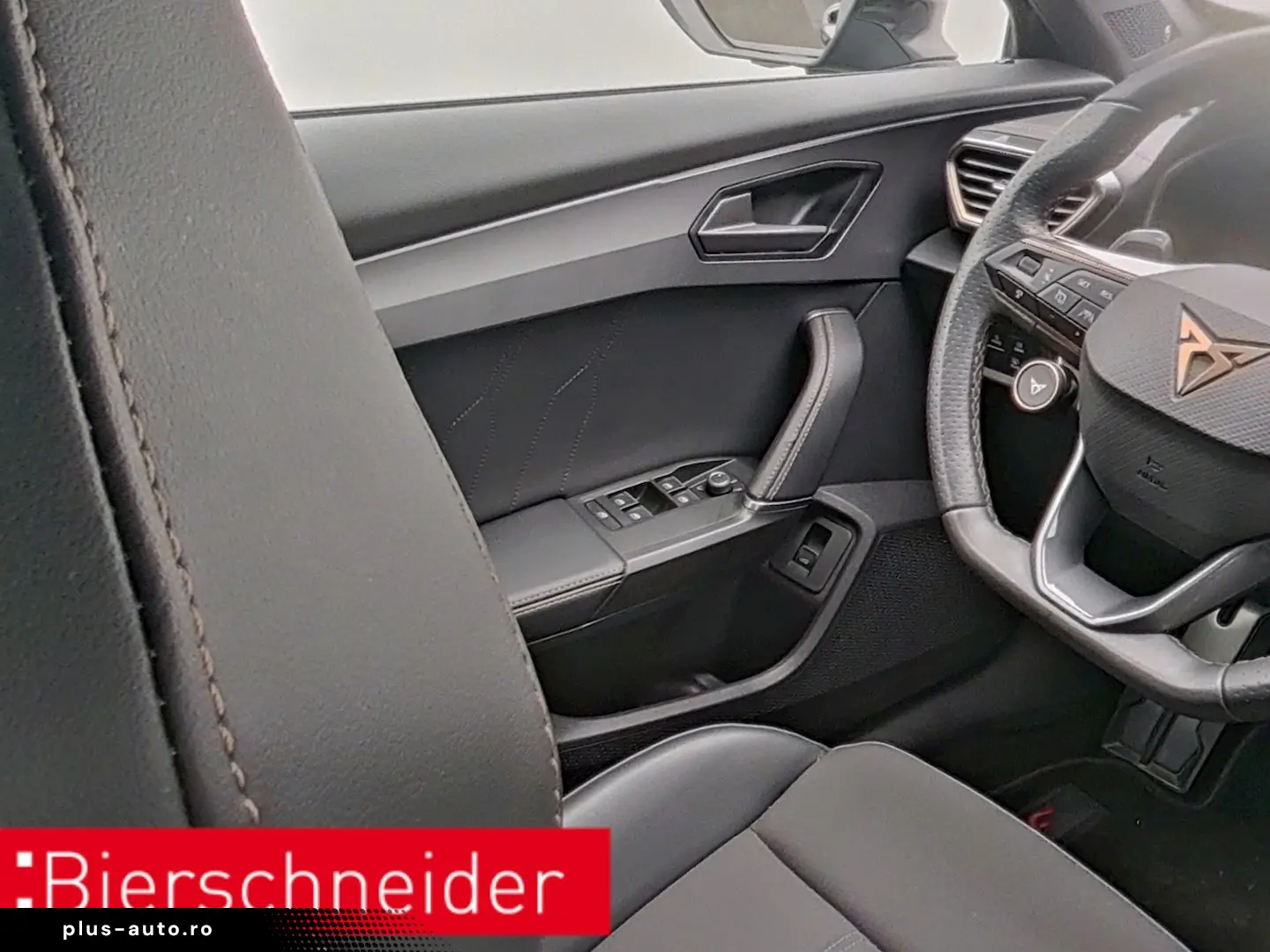 Formentor 2.0 TSI DSG 4Dr. VZ PANO AHK 360 eHECK