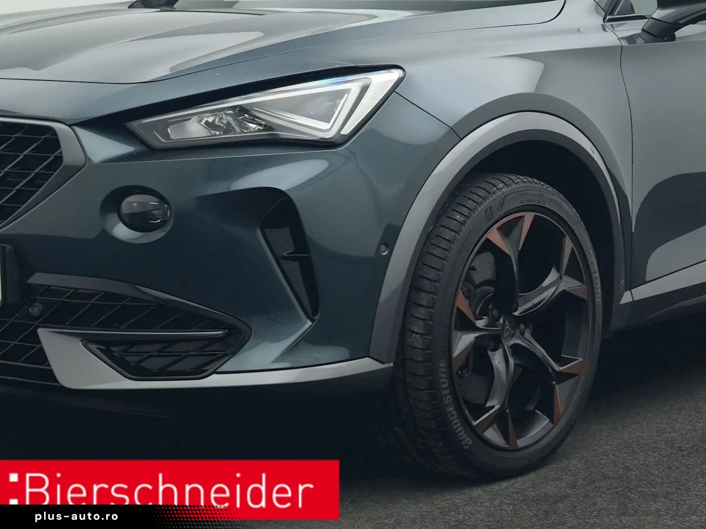 Formentor 2.0 TSI DSG 4Dr. VZ PANO AHK 360 eHECK