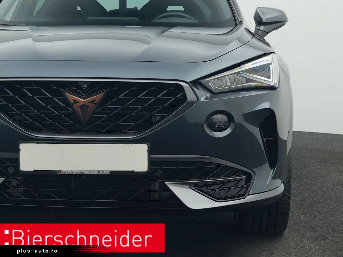 Formentor 2.0 TSI DSG 4Dr. VZ PANO AHK 360 eHECK