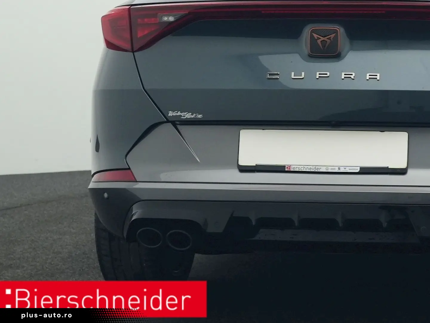 Formentor 2.0 TSI DSG 4Dr. VZ PANO AHK 360 eHECK