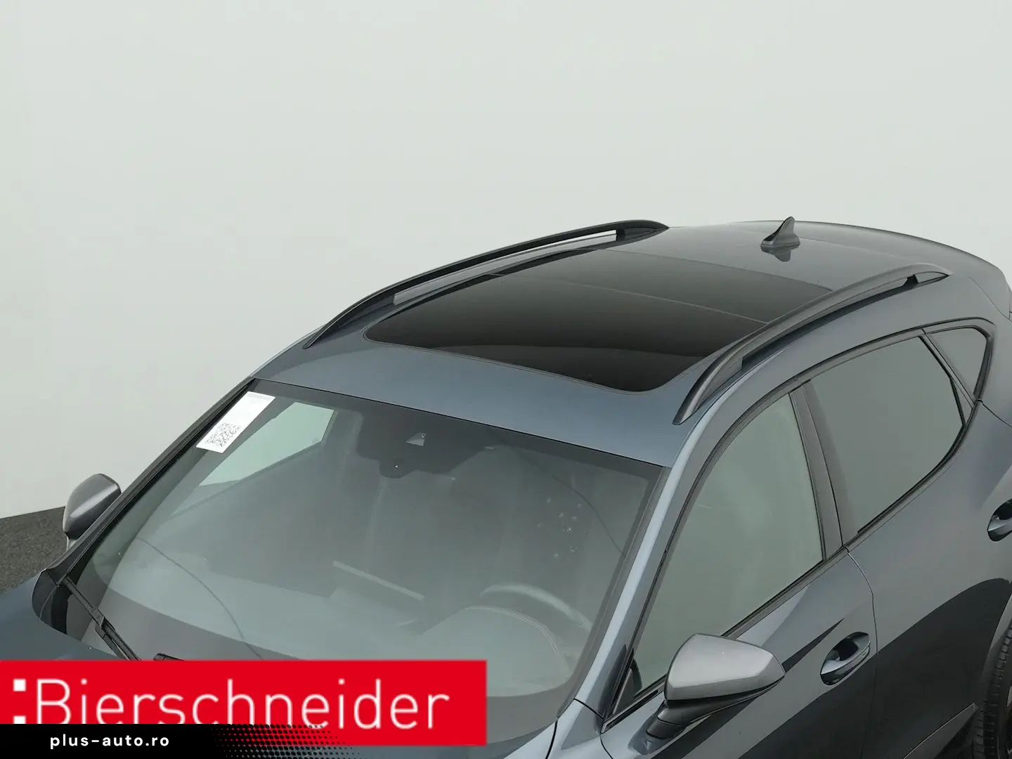 Formentor 2.0 TSI DSG 4Dr. VZ PANO AHK 360 eHECK