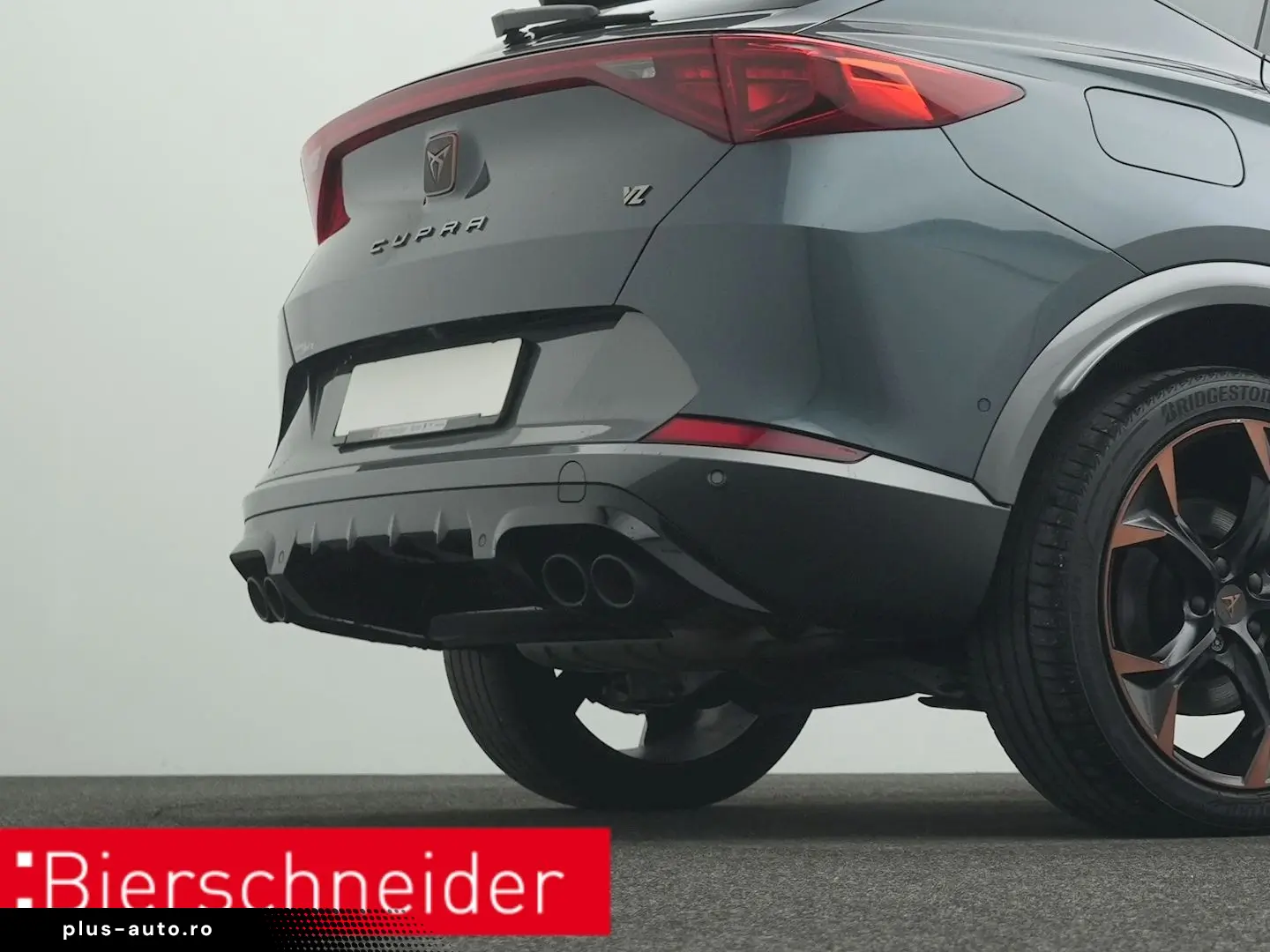 Formentor 2.0 TSI DSG 4Dr. VZ PANO AHK 360 eHECK