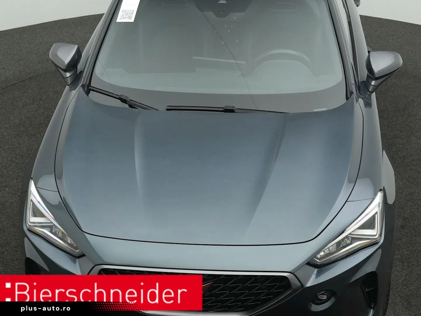 Formentor 2.0 TSI DSG 4Dr. VZ PANO AHK 360 eHECK