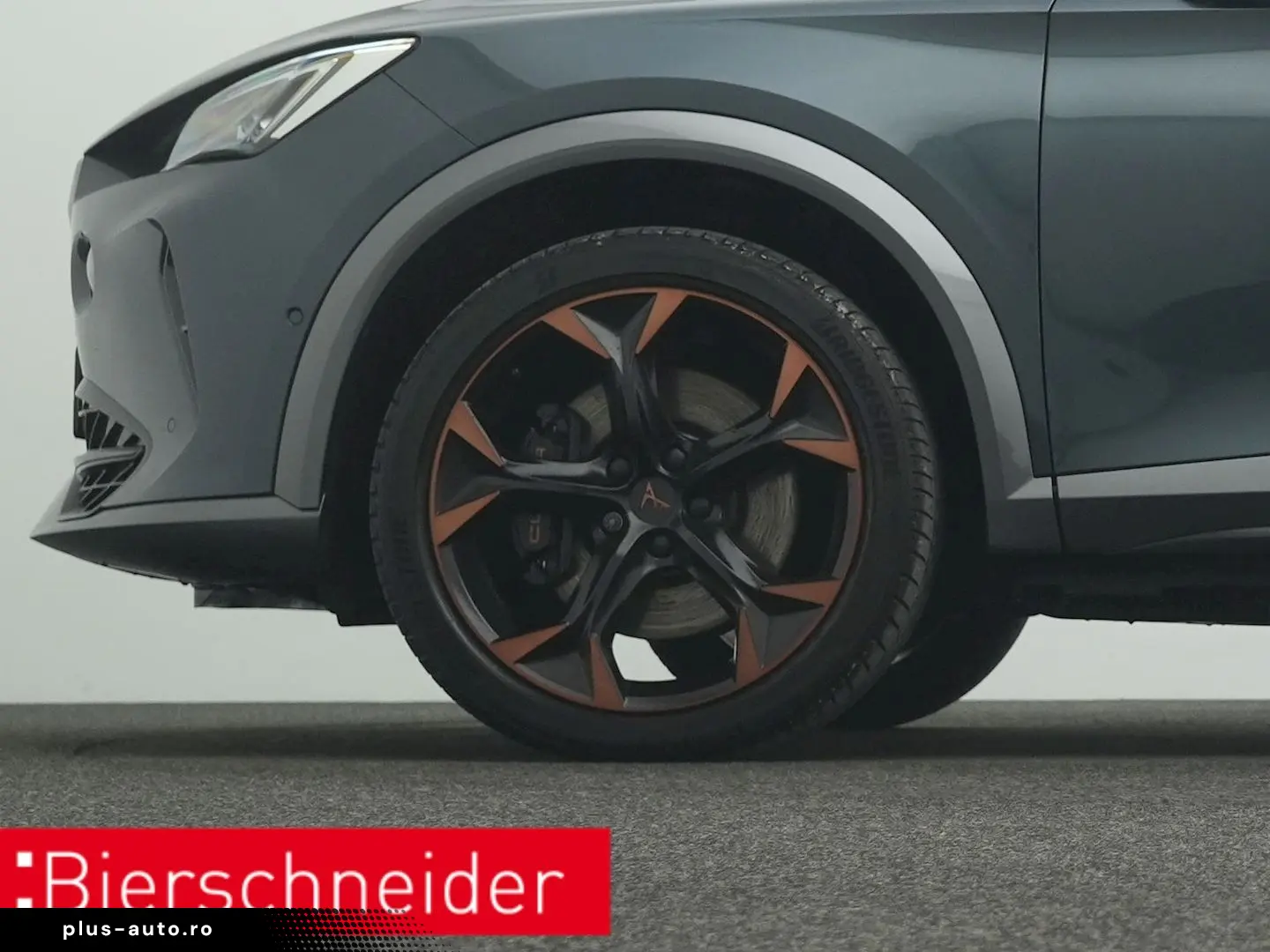 Formentor 2.0 TSI DSG 4Dr. VZ PANO AHK 360 eHECK