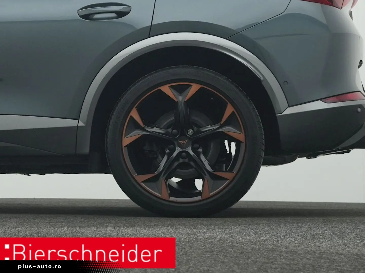 Formentor 2.0 TSI DSG 4Dr. VZ PANO AHK 360 eHECK