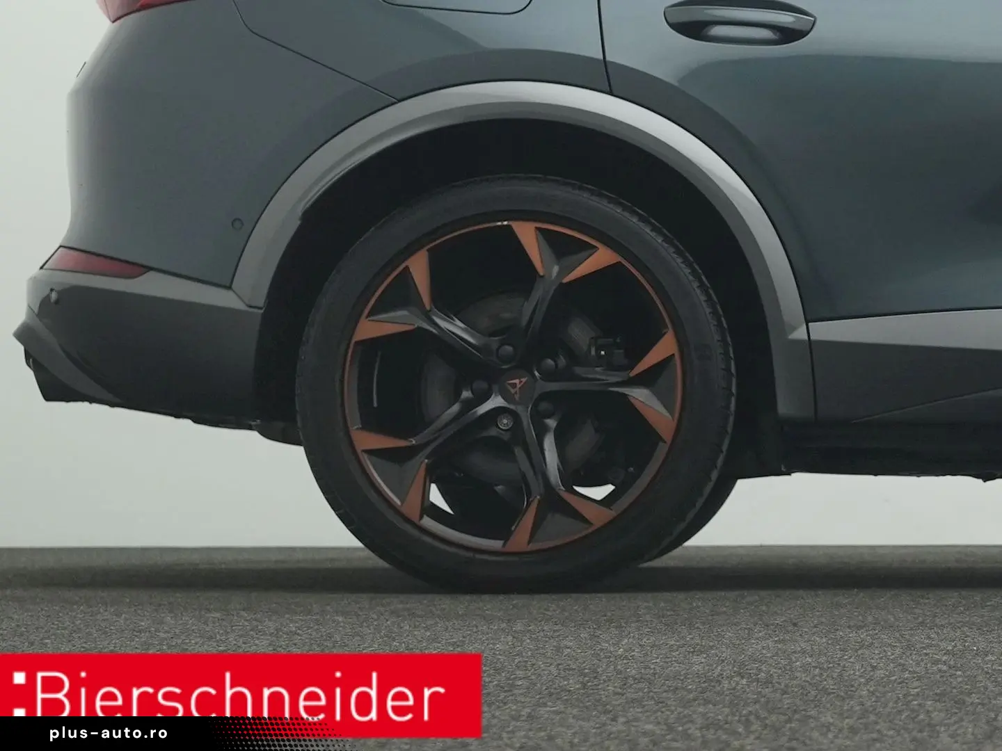 Formentor 2.0 TSI DSG 4Dr. VZ PANO AHK 360 eHECK